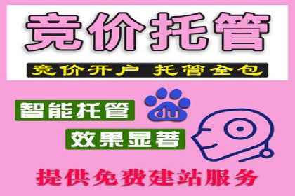 竞价托管效果评估：某企业案例分析